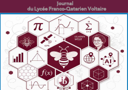 Labomath Voltaire 5
